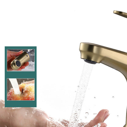 Rynx | Contemporary Basin Faucet Copper Pure Color Single Handle Pull-Out Basin Faucet