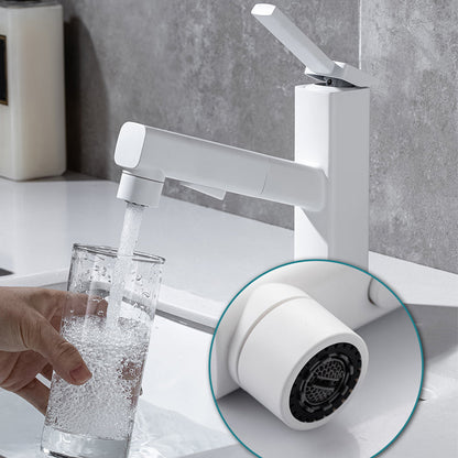 Rynx | Lever handle fitting Pull-out basin mixer with swivel spout