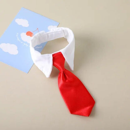 Rynx | formal collar