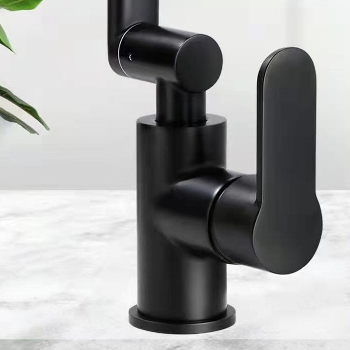 Rynx | Modern sink faucet stainless steel lever handles swivel spout sink faucet