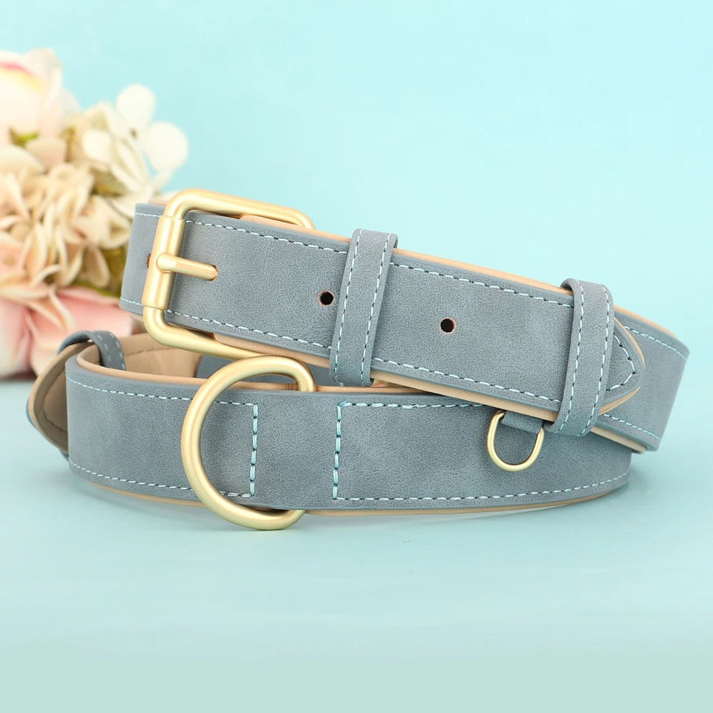 Rynx | Soft Leather Padded Dog Collar Adjustable and Durable for Small and Medium Dogs