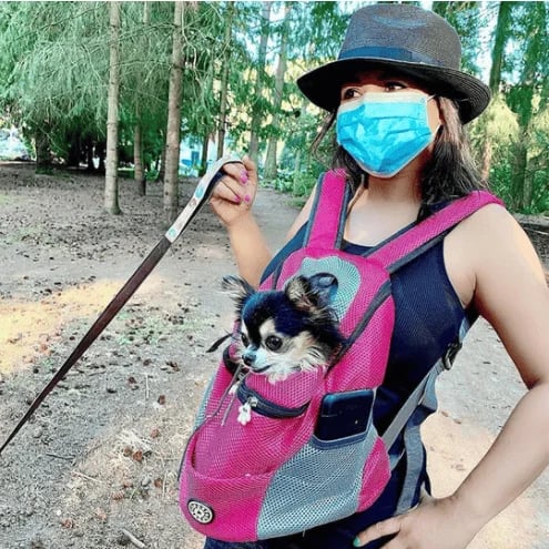 Rynx | PetPack - Backpack for Pets