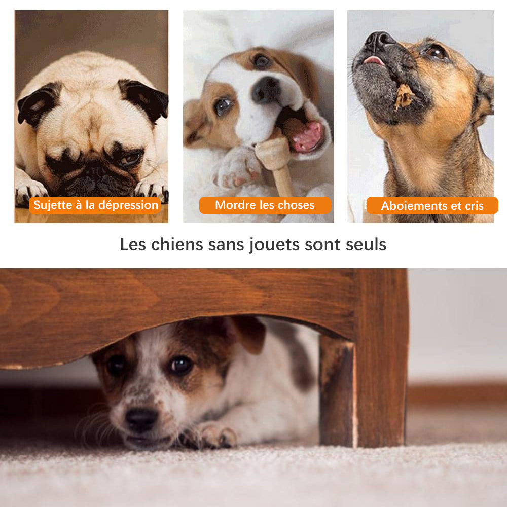Rynx | Dog suction cup toy