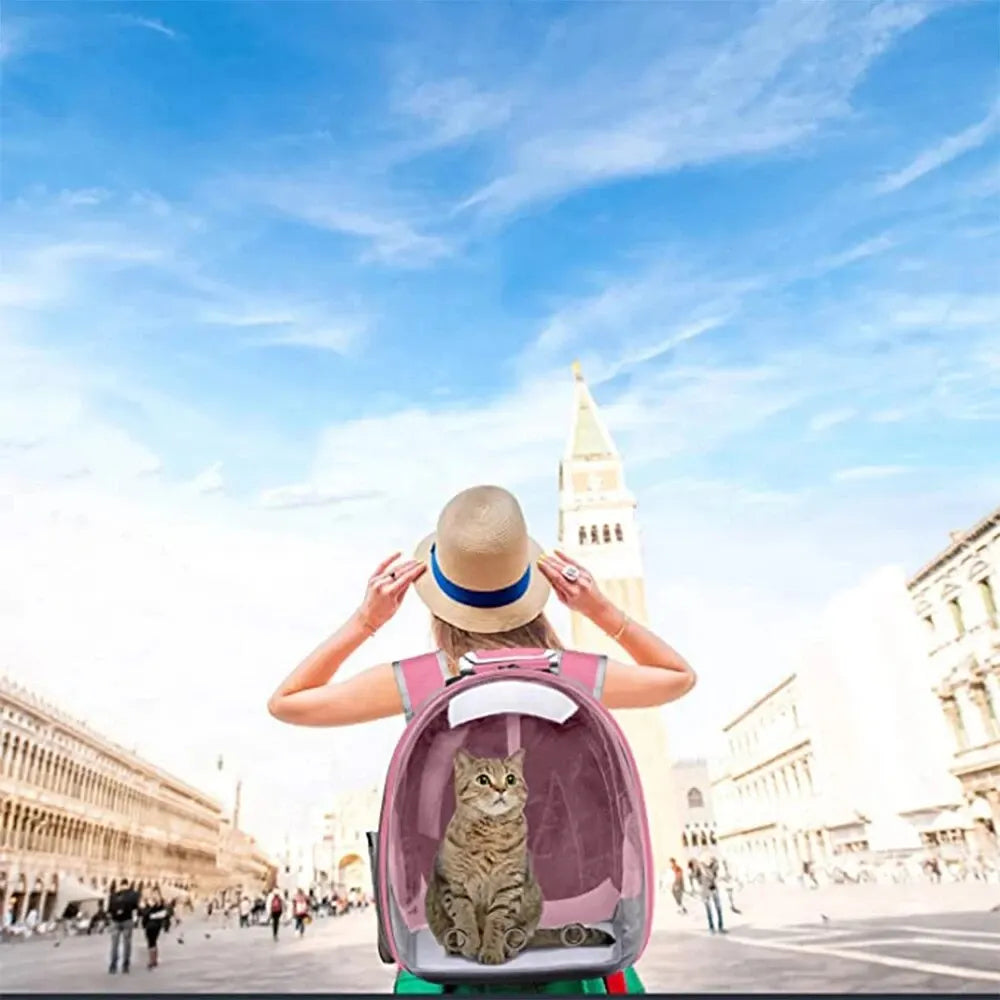 Rynx | Pet carrier backpack - TravelPaw