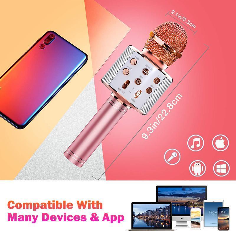RYNX | Wireless Bluetooth Karaoke Microphone