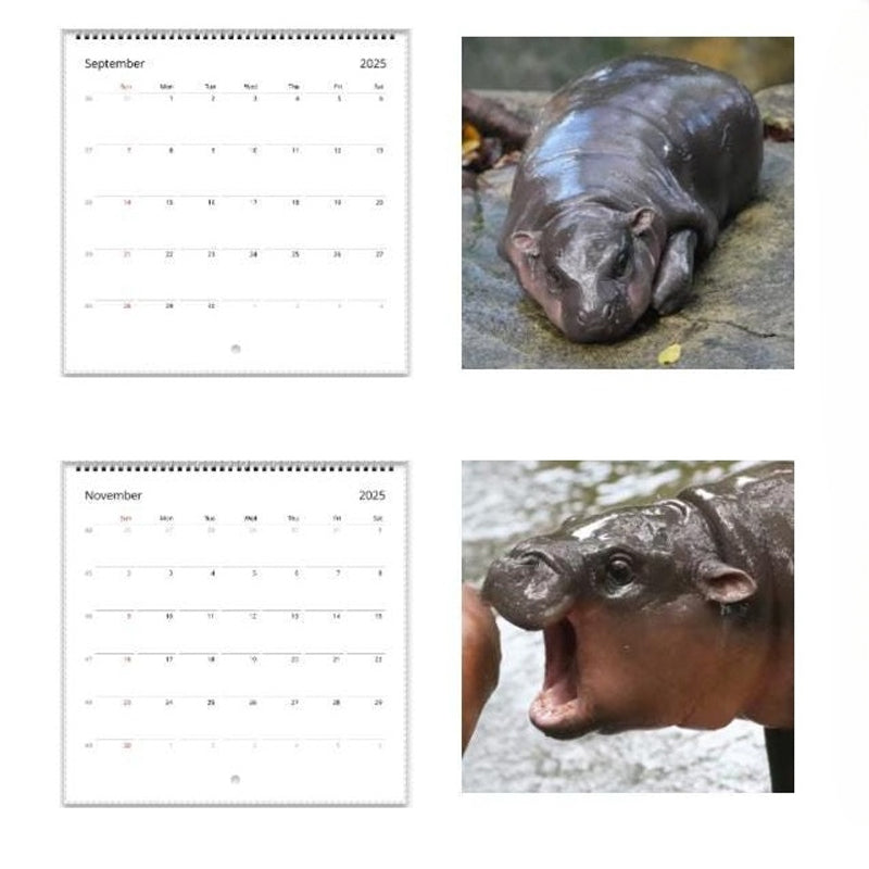 Rynx | Moo Deng Calendar | Calendar 2025