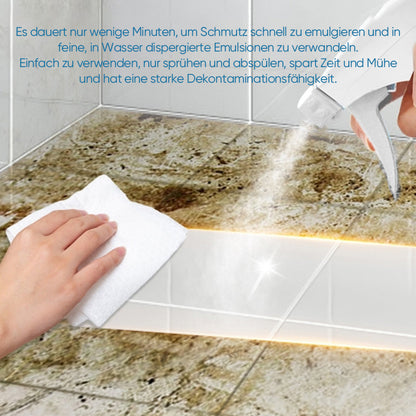 Rynx | Sprayer for the cleaning of tiles and joints