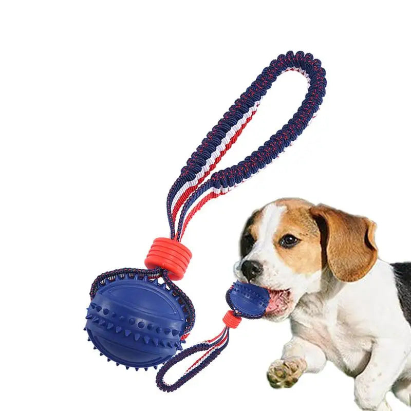 Rynx | Interactive dog toy ball with rope.