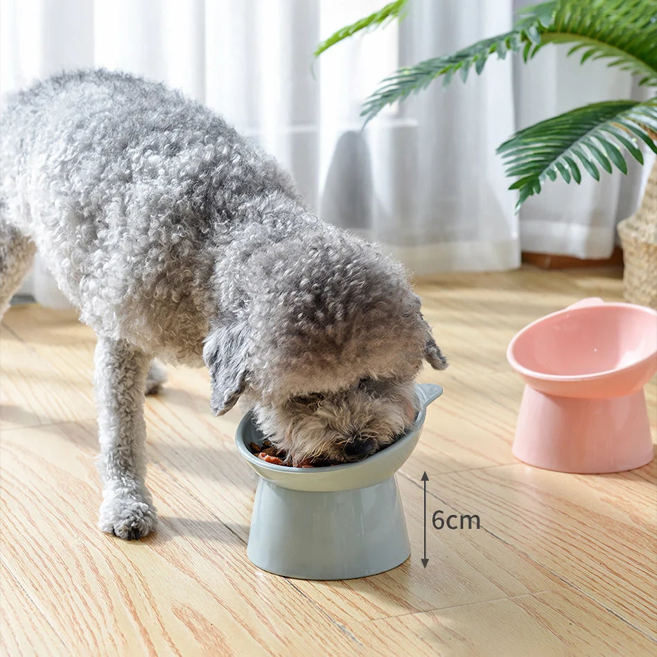 Rynx | Elevated cat and dog bowl with 45-degree incline