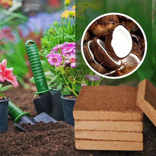 Rynx | Organic coconut fiber soil alternative for horticulture