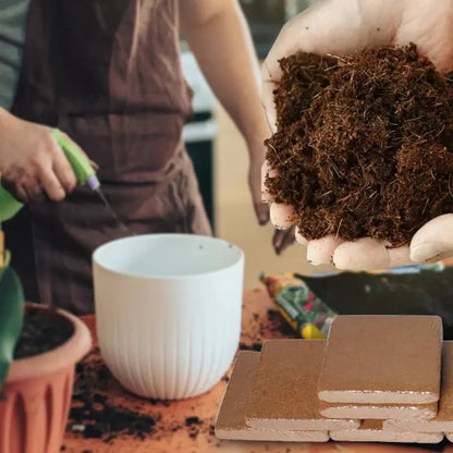Rynx | Organic coconut fiber soil alternative for horticulture