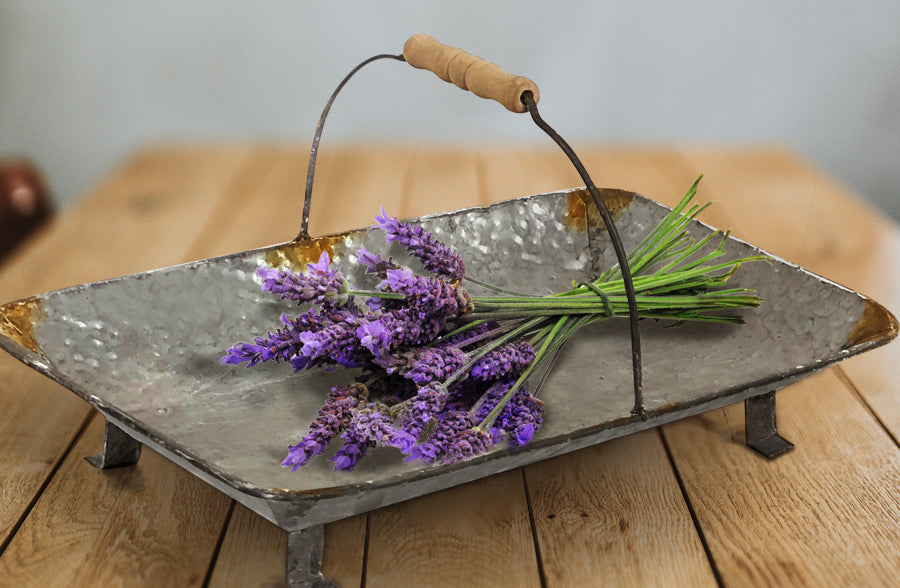 Rynx | Worn Edge Galvanized Presentation Bowl