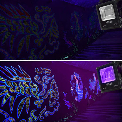Rynx | Glw 30W Led Black Light - Waterproof Floodlight For Events, Stage, And Aquariums (2 Pack)