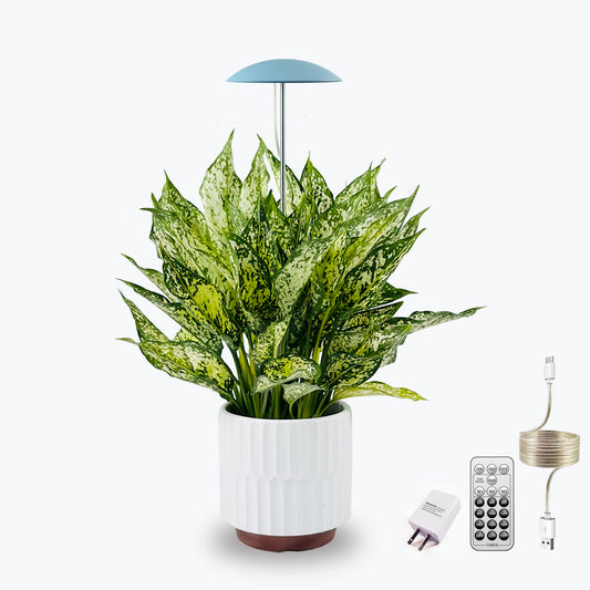 Rynx | LED Grow Light For Indoor Plants, Smart USB Small Full Spectrum Plant Lighting With Remote Control, Height Adjustable, Auto On/Off Timer, Ideal For Home Decoration, Blue