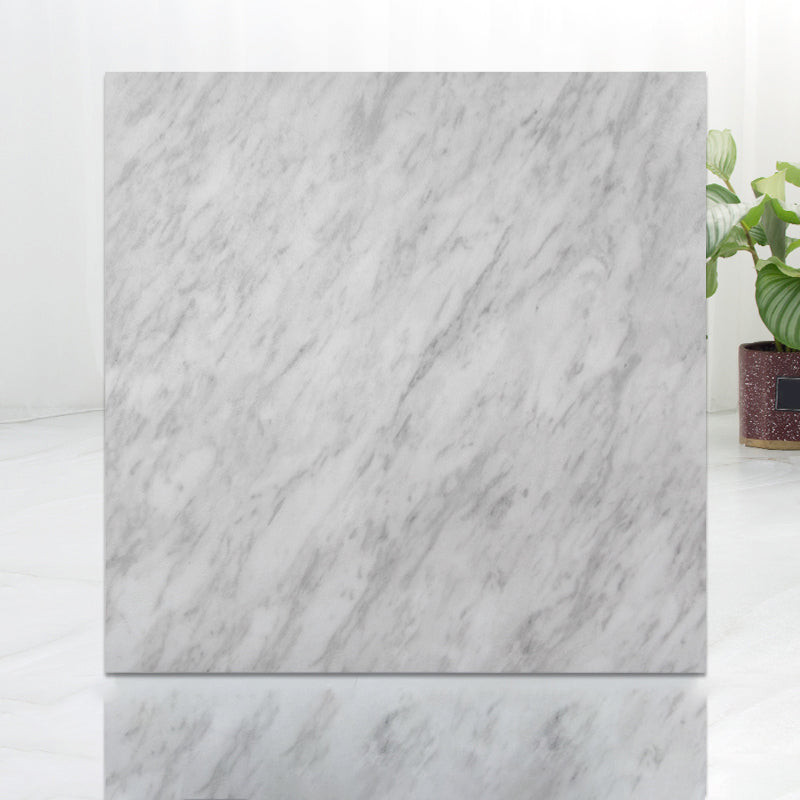 Rynx | Modern Indoor Vinyl Flooring Peel and Stick Marble Print Vinyl Flooring
