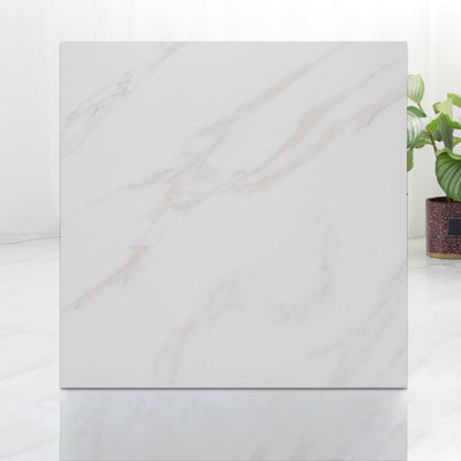 Rynx | Modern Indoor Vinyl Flooring Peel and Stick Marble Print Vinyl Flooring