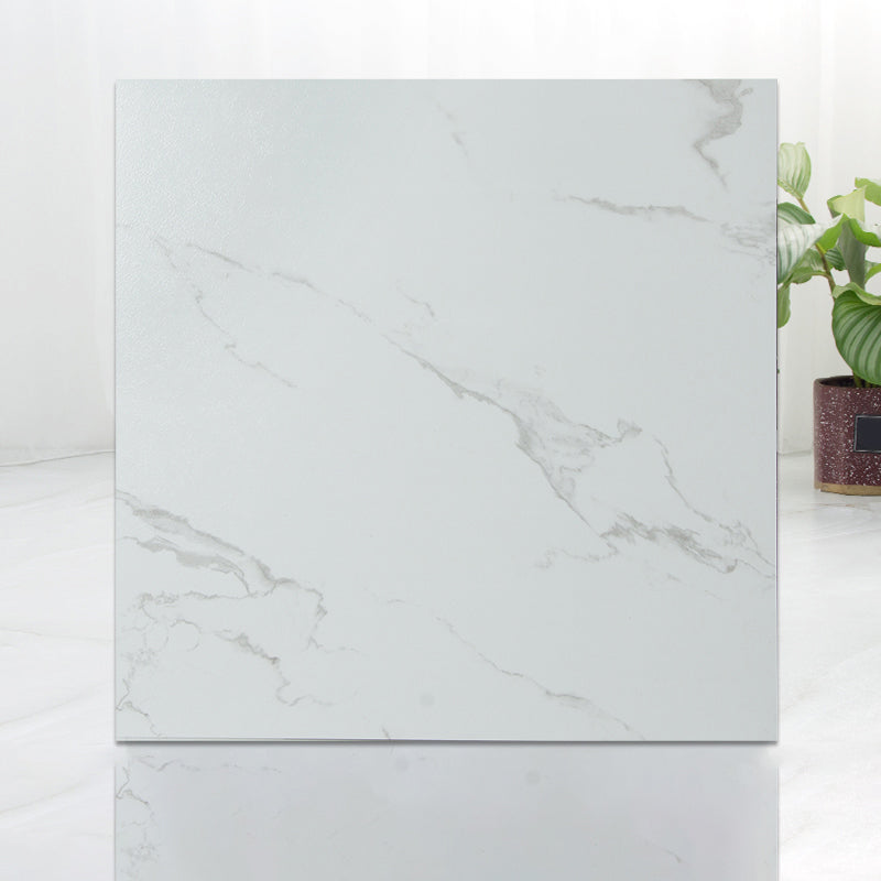 Rynx | Modern Indoor Vinyl Flooring Peel and Stick Marble Print Vinyl Flooring