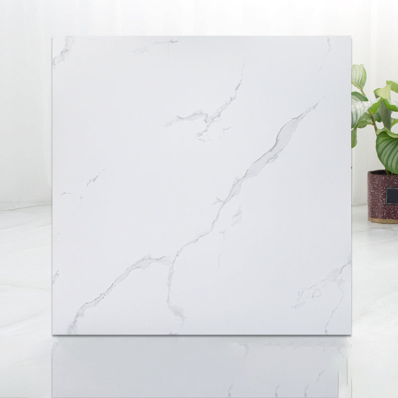 Rynx | Modern Indoor Vinyl Flooring Peel and Stick Marble Print Vinyl Flooring