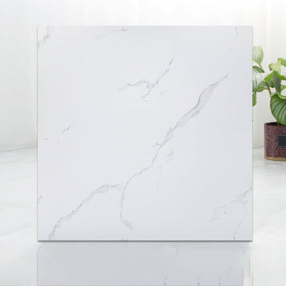 Rynx | Modern Indoor Vinyl Flooring Peel and Stick Marble Print Vinyl Flooring