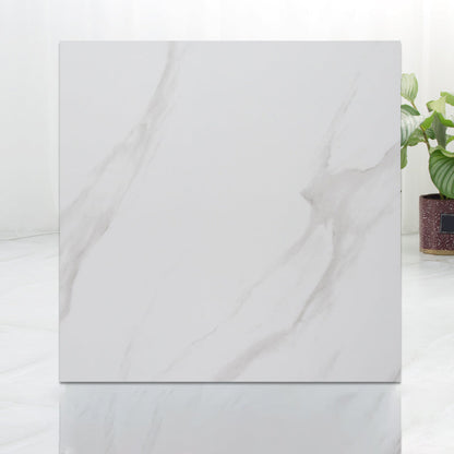 Rynx | Modern Indoor Vinyl Flooring Peel and Stick Marble Print Vinyl Flooring