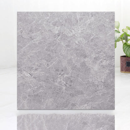 Rynx | Modern Indoor Vinyl Flooring Peel and Stick Marble Print Vinyl Flooring