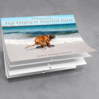 Rynx | 2024 Funniest Calendar-Dogs Pooping In Beautiful Places | "Artistic Expression" Furry Friends