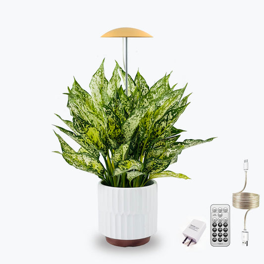 Rynx | LED Grow Light For Indoor Plants, Smart Usb Small Full Spectrum Plant Light With Remote Control, Height Adjustable, Auto On/Off Timer, Ideal For Home Decoration, Yellow