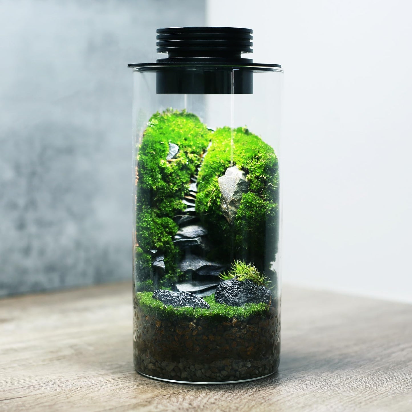 Rynx | Desktop Glass Plant Terrarium With Grow Light (H:7.8&quot; D:4&quot;), For Succulent, Moss, Miniature Gardening Landscape, Betta Fish Tank, Indoor Plant Growth, Office Home Decoration, Plant Lovers Gifts