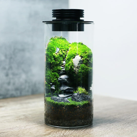 Rynx | Desktop Glass Plant Terrarium With Grow Light (H:7.8&quot; D:4&quot;), For Succulent, Moss, Miniature Gardening Landscape, Betta Fish Tank, Indoor Plant Growth, Office Home Decoration, Plant Lovers Gifts