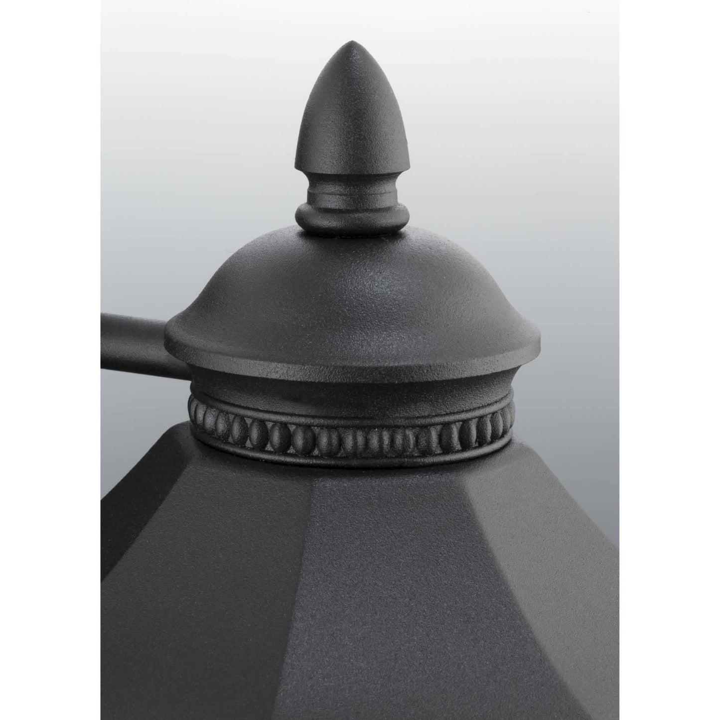 Rynx | Progress Lighting 1-Light Outdoor Wall Lamp, Clear Water Glass, Textured Black, 55"