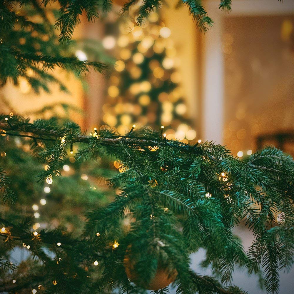 Rynx | Outylts 108Ft 300 Led Warm White Christmas Lights, Waterproof, 8 Modes, Indoor/Outdoor