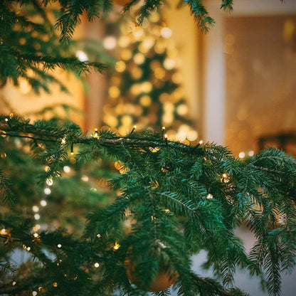Rynx | Outylts 108Ft 300 Led Warm White Christmas Lights, Waterproof, 8 Modes, Indoor/Outdoor