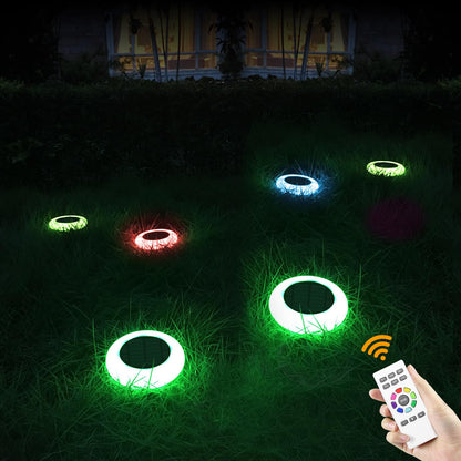 Rynx | Intelamp Color Changing Solar Light Outdoor 2 Pack with Remote Control - Garden and Path Lighting