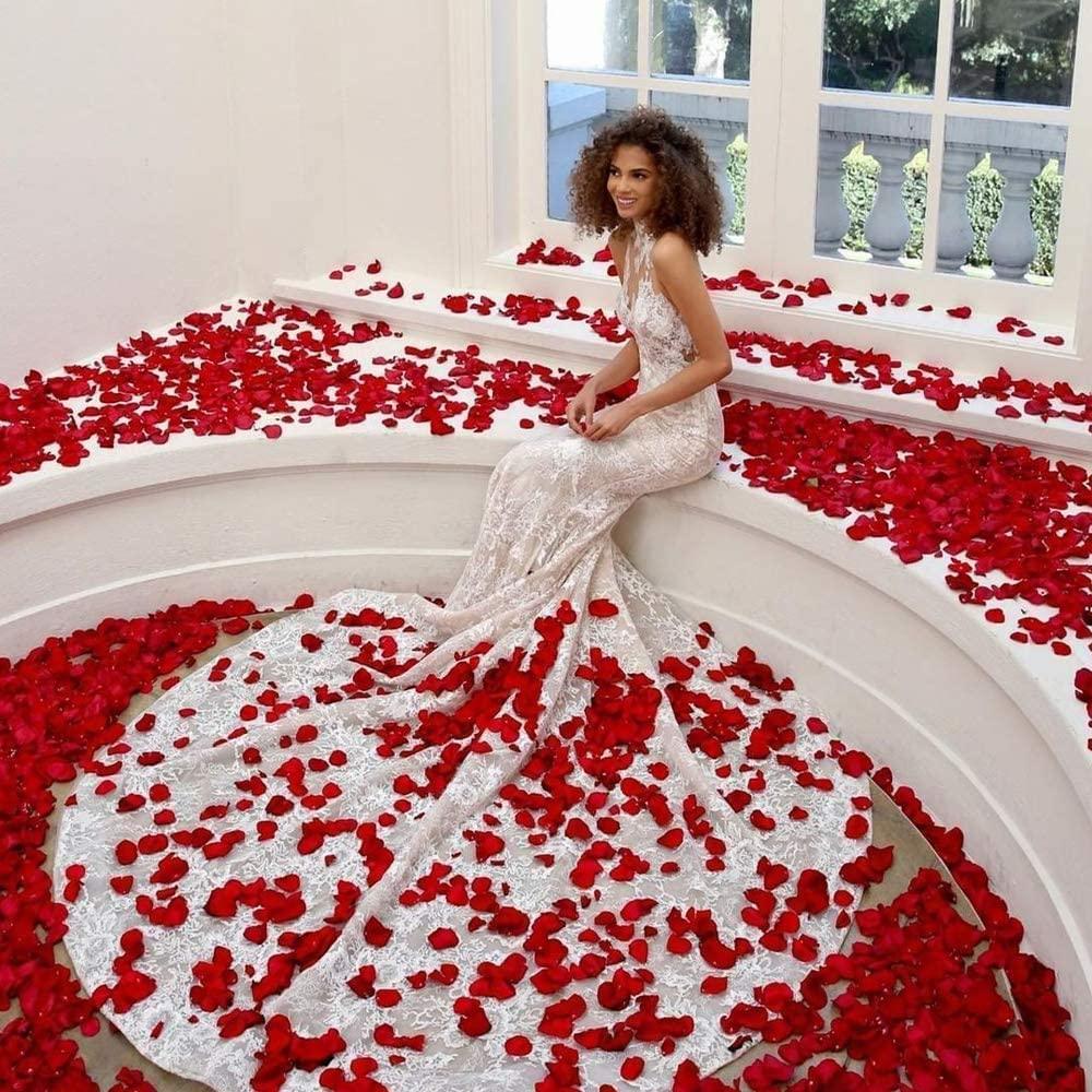 Rynx | Romantic Elegance Silk Rose Petals Collection: 1000 Luxurious Red Petals for Memorable Celebrations
