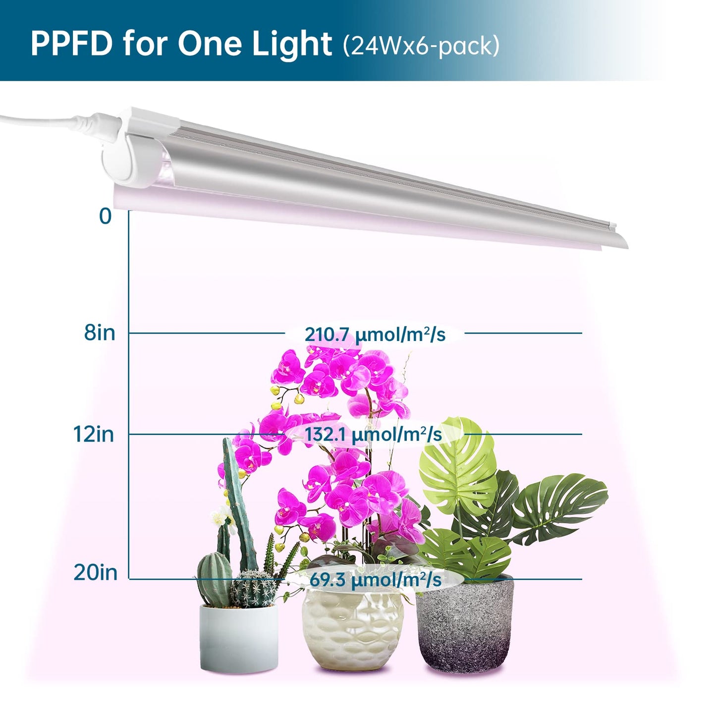 Rynx | Barrina 2Ft Full Spectrum Led Grow Light, 144W, V-shaped Reflector, 6-Pack For Indoor Plants