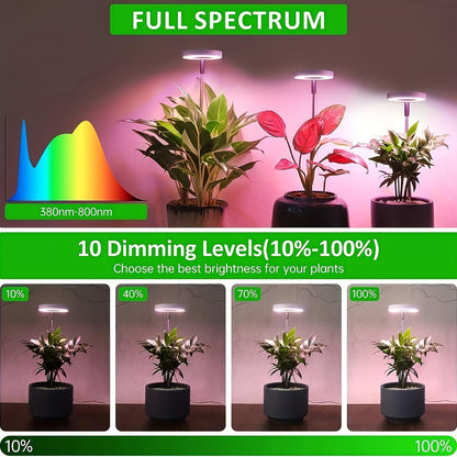 Rynx | Ej'S Supercar LED grow light for indoor plants, full spectrum, timer, 3-pack, adjustable