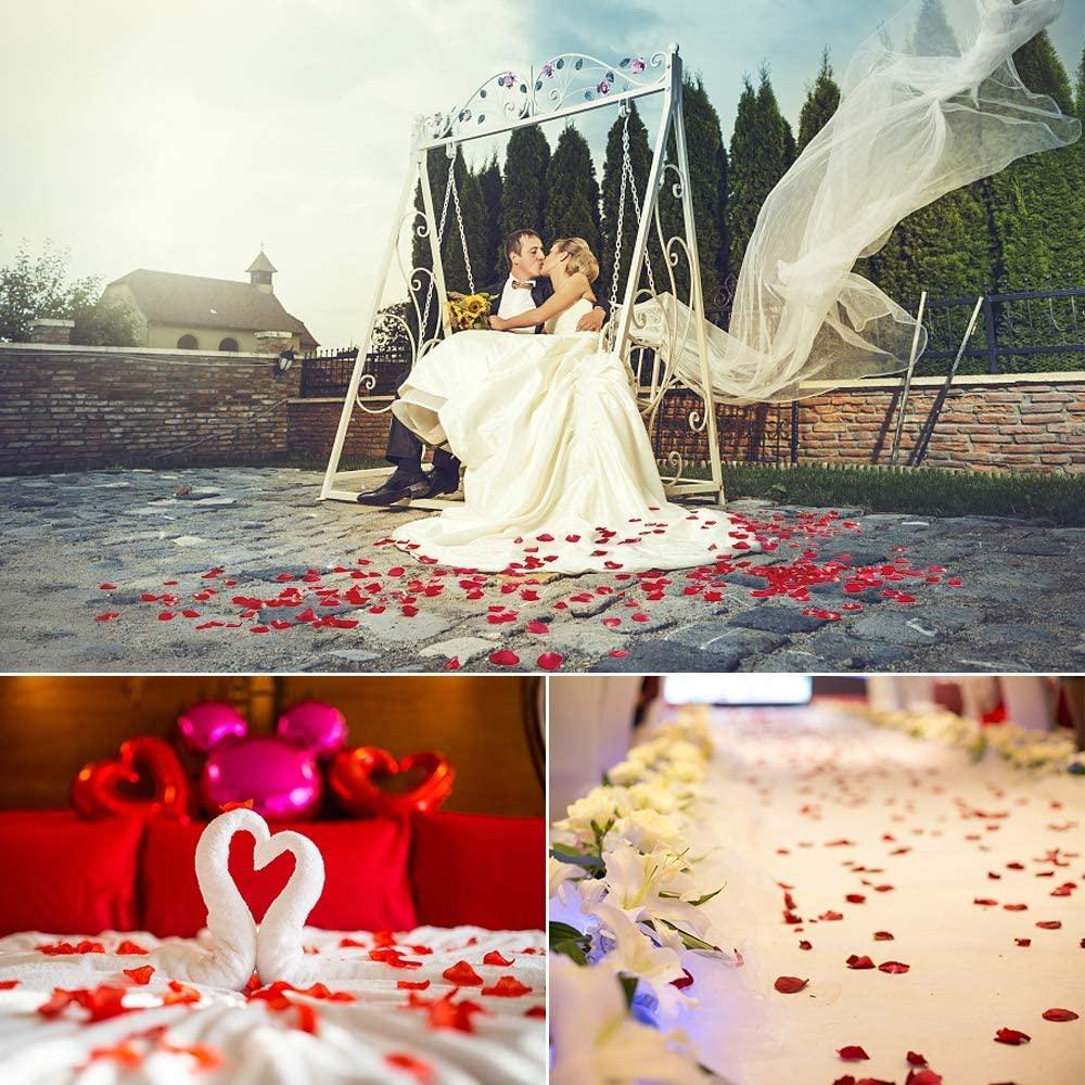 Rynx | Romantic Elegance Silk Rose Petals Collection: 1000 Luxurious Red Petals for Memorable Celebrations