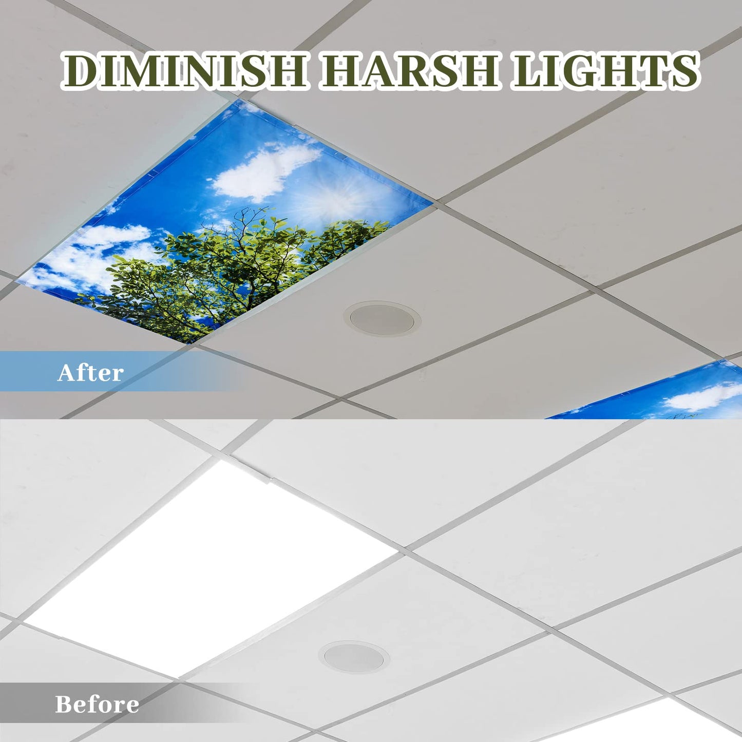 Rynx | Hortsun 4 Pack Fluorescent Magnetic Light Screen Panels, 4X2 Feet For Office & Home - Sunlit