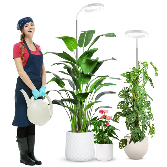 Rynx | Wolezek Growth Light For Indoor Plants Full Spectrum, 80 Leds 3 Colors Growth Light, 65 Inches Plant Light For Indoor Growth With 360° Gooseneck, 6/12/16H Timer, 5 Brightness Levels, Height Adjustable, White Pair