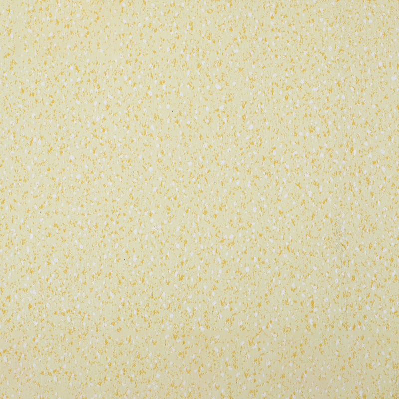 Rynx | Indoor Flooring Peel and Stick Coiled PVC 200cm Waterproof Vinyl Flooring