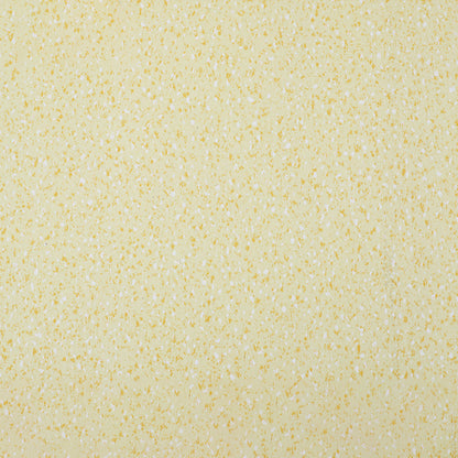 Rynx | Indoor Flooring Peel and Stick Coiled PVC 200cm Waterproof Vinyl Flooring