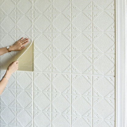 Rynx | Modern Wall Covering Peel and Stick Waterproof 3D Print Wall Panel