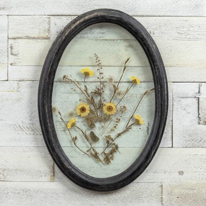 Rynx | Black oval framed pressed botanicals