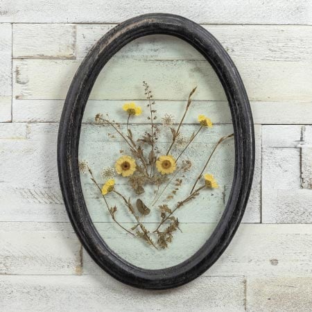 Rynx | Black oval framed pressed botanicals