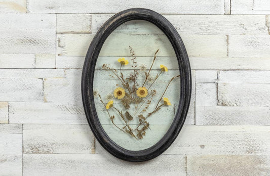 Rynx | Black oval framed pressed botanicals