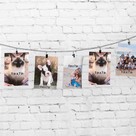 Rynx | Photo display chain