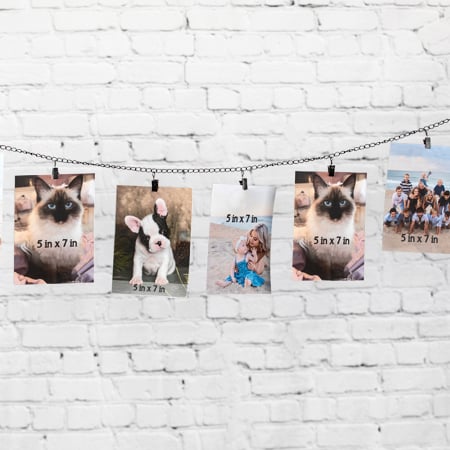 Rynx | Photo display chain