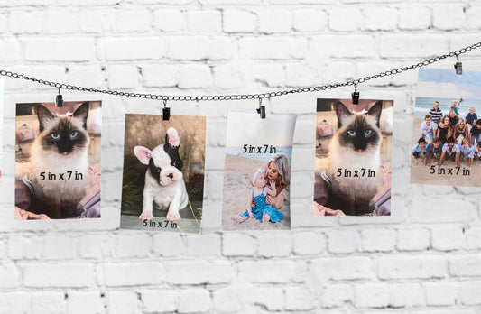 Rynx | Photo display chain