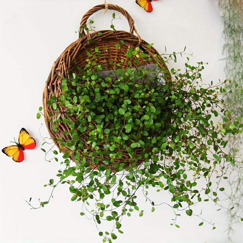 Rynx | Rustic blue rattan flower wall basket for real or artificial flowers