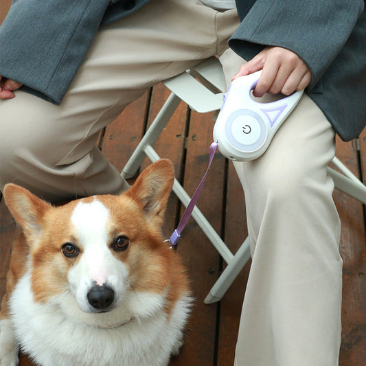 RYNX | Dog Pull Leash